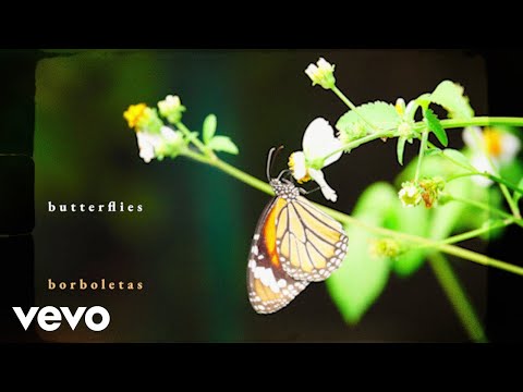 liana flores - Butterflies (feat. Tim Bernardes) (lyric video)