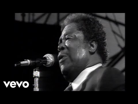 B.B. King - Stormy Monday (Live)