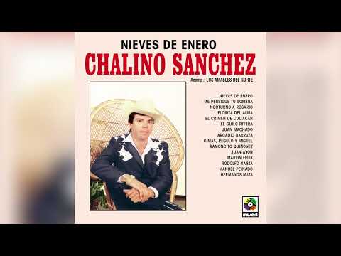 Chalino Sánchez - Nieves de Enero (Visualizador Oficial)