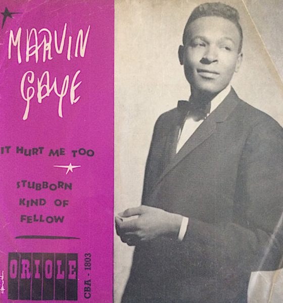 Marvin Gaye 'It Hurt Me Too'/‘Stubborn Kind Of Fellow' artwork - Courtesy: UMG