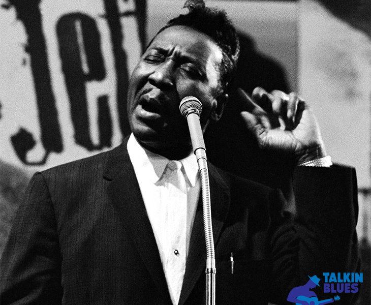 Roots Of The Blues: Muddy Waters And Hoochie Coochie Man | uDiscover