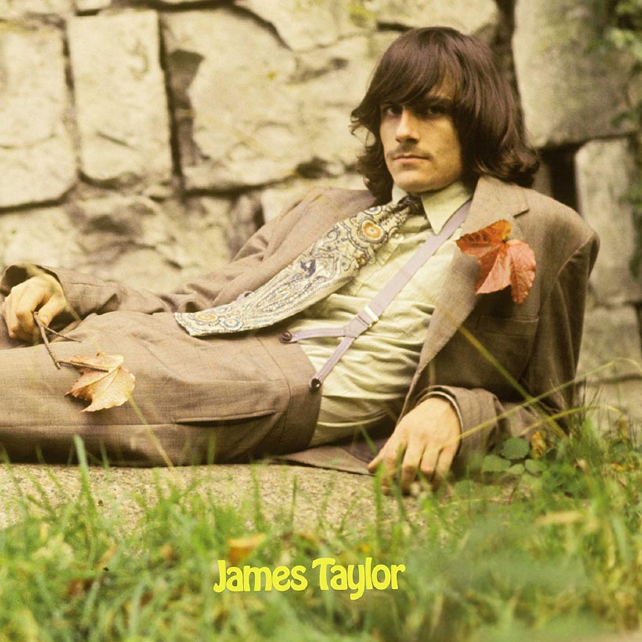 Something In The Way He Moves The Astonishing James Taylor Debut