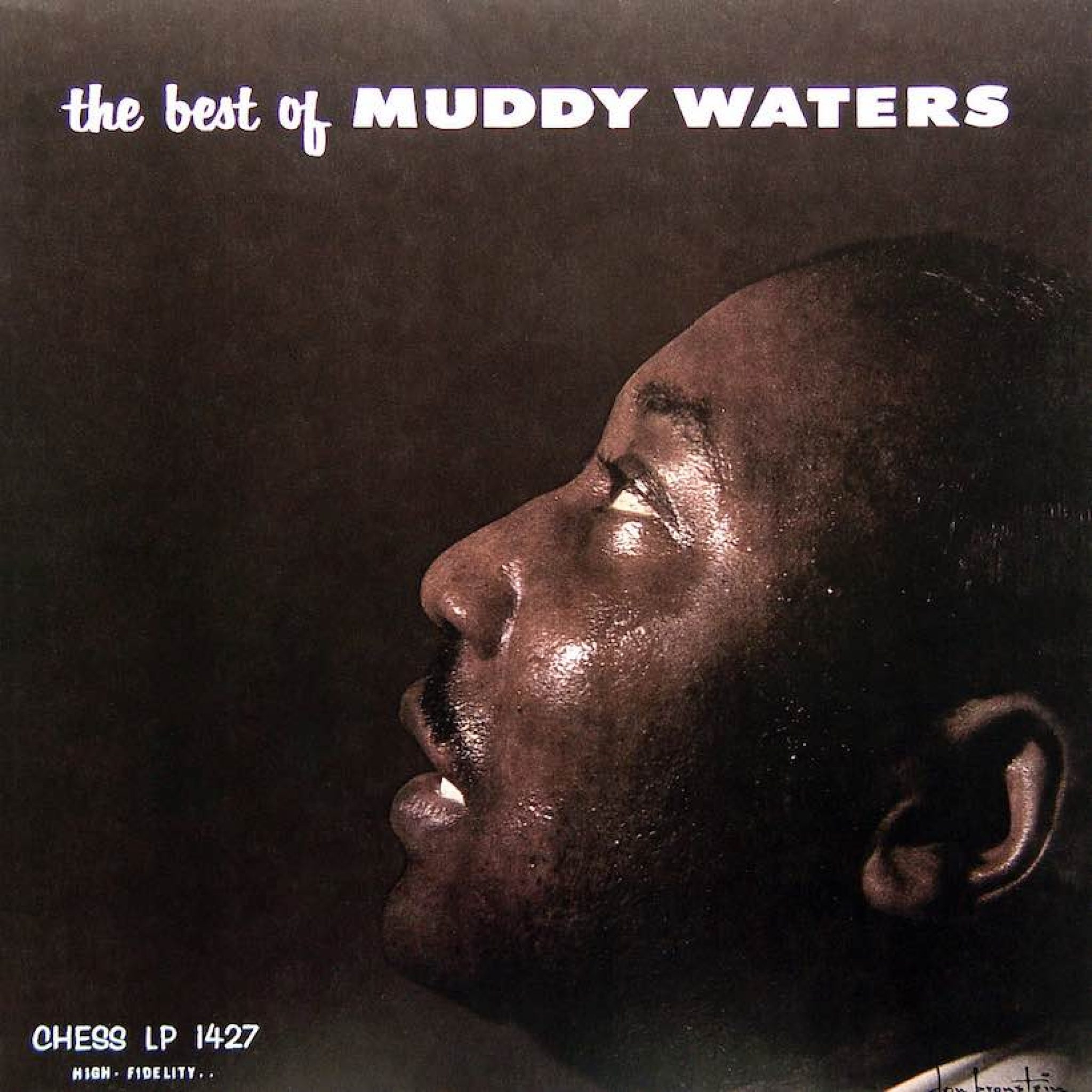 Песня muddy waters. The best of Muddy Waters 1958. Muddy Waters: Blue Skies - the best of Muddy Waters. Waters Muddy "r&b Hits". Рэп альбом - Мади Вотерс.