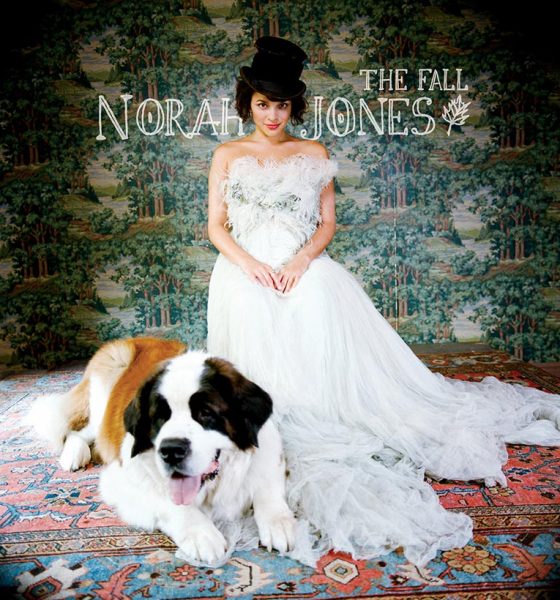 Norah Jones The Fall album cover 820