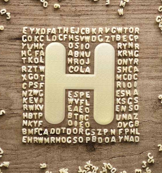 bands that start with the letter h