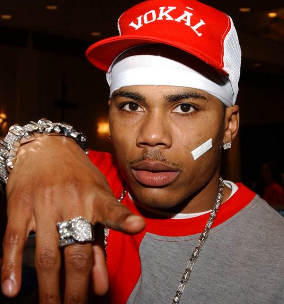 Nelly, performer of Hot in Herre
