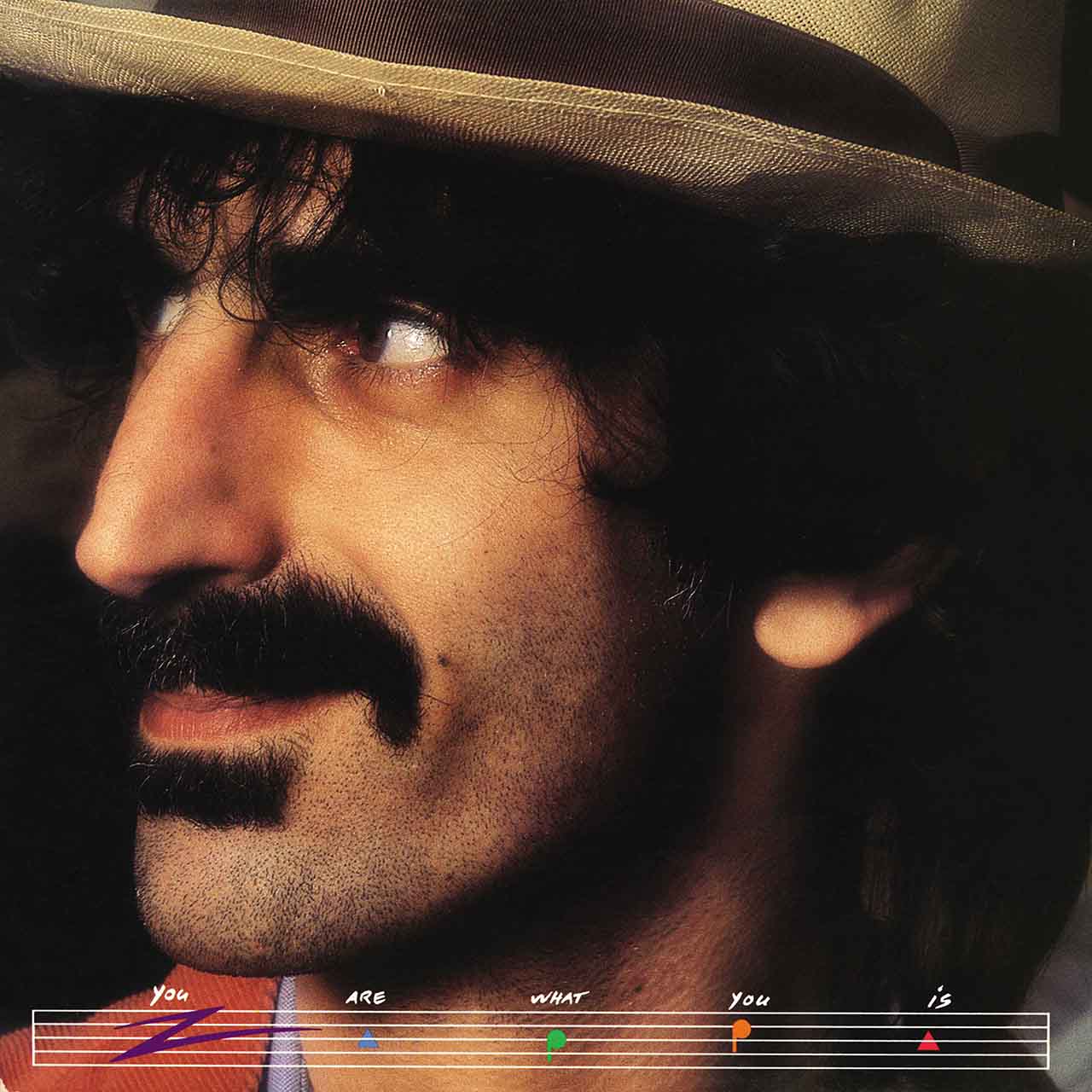 You Are What You Is': Frank Zappa's Savagely Satirical Pop Masterclass