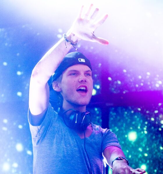 Avicii - Photo: Mike Pont/WireImage