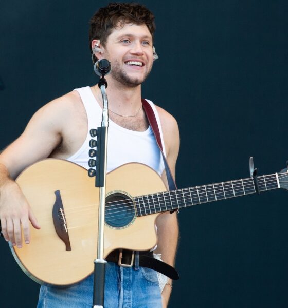 Niall Horan - Photo: Joseph Okpako/WireImage